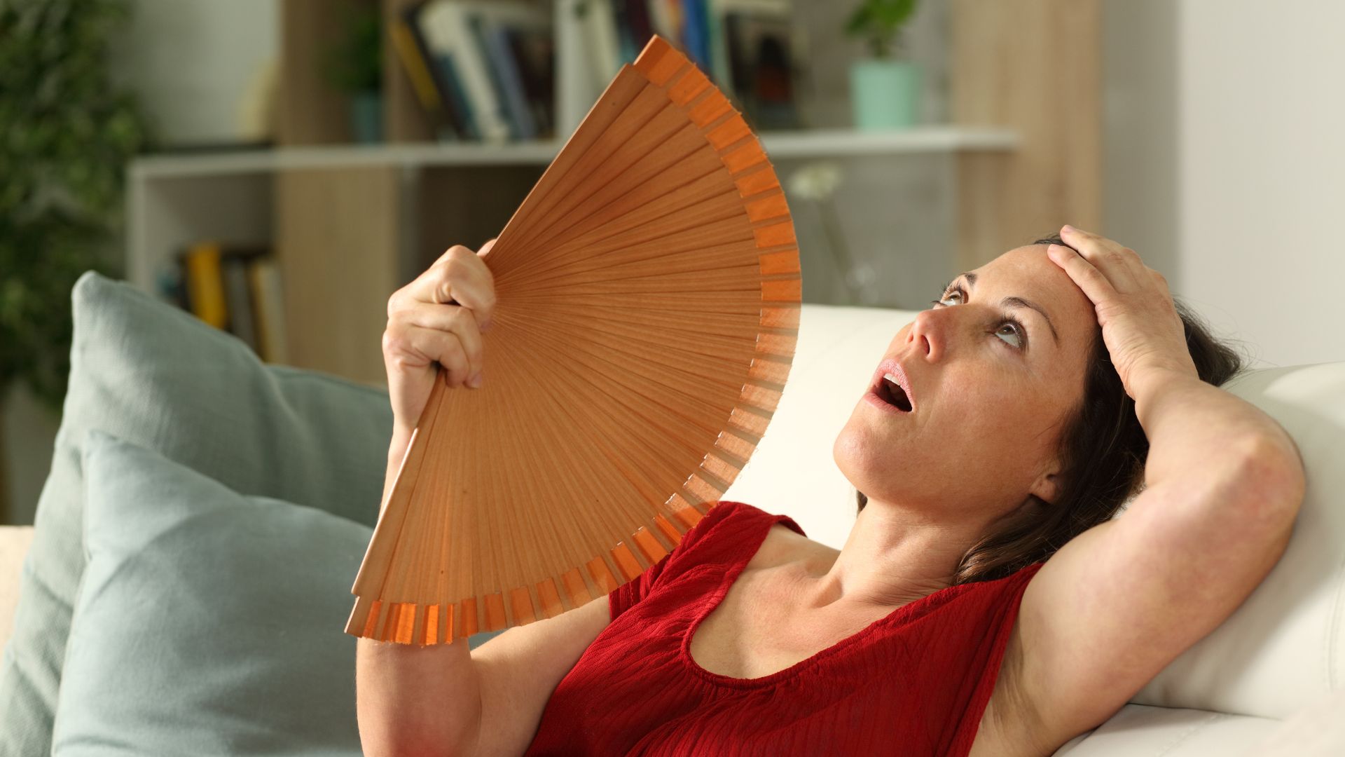 la menopausa